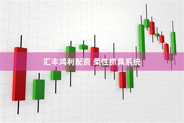 汇丰鸿利配资 柔性抓具系统
