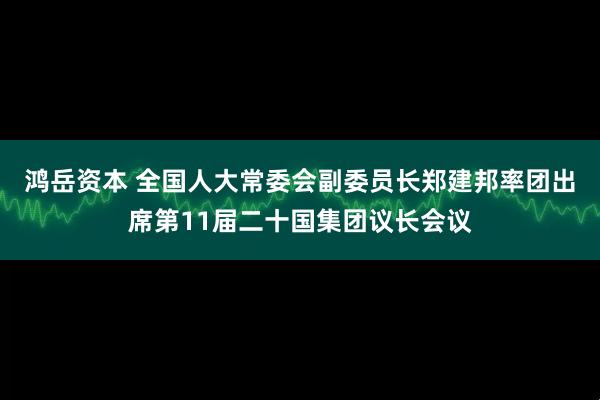 鸿岳资本 全国人大常委会副委员长郑建邦率团出席第11届二十国集团议长会议