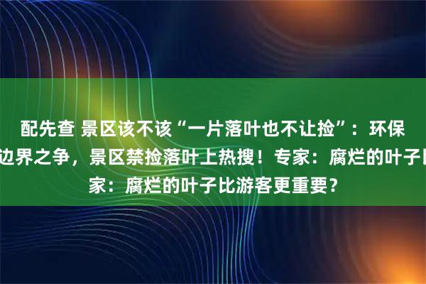 配先查 景区该不该“一片落叶也不让捡”：环保与浪漫体验的边界之争，景区禁捡落叶上热搜！专家：腐烂的叶子比游客更重要？